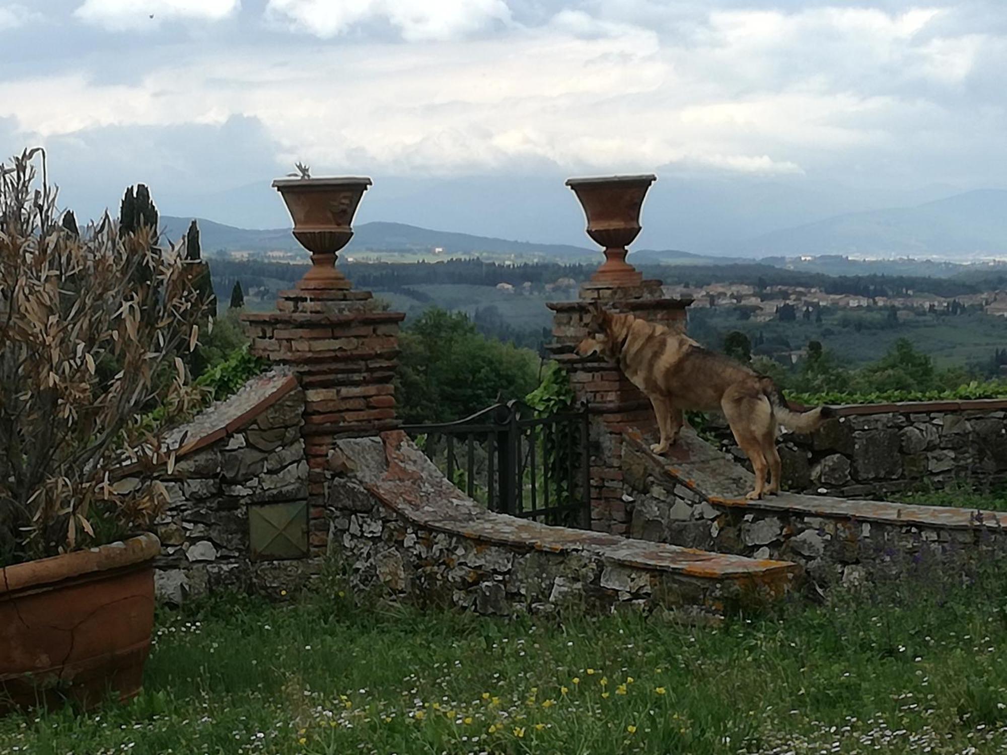 Agriturismo Podere La Cava Mercatale Val Di Pesa Kültér fotó